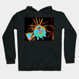 Cyan Cereus Hoodie